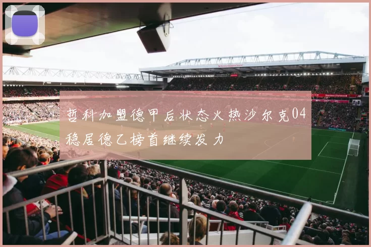 哲科加盟德甲后状态火热沙尔克04稳居德乙榜首继续发力